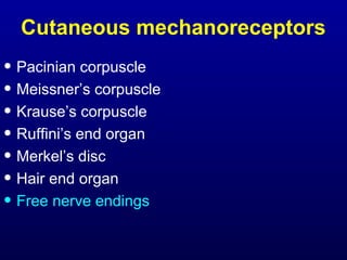 Cutaneous mechanoreceptors
• Pacinian corpuscle
• Meissner’s corpuscle
• Krause’s corpuscle
• Ruffini’s end organ
• Merkel’s disc
• Hair end organ
• Free nerve endings
 