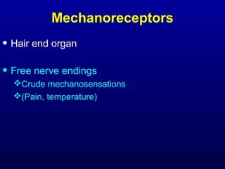 Mechanoreceptors
• Hair end organ
• Free nerve endings
Crude mechanosensations
(Pain, temperature)
 