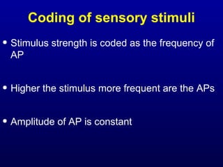 Coding of sensory stimuli
• Stimulus strength is coded as the frequency of
AP
• Higher the stimulus more frequent are the APs
• Amplitude of AP is constant
 