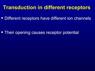 Transduction in different receptors
• Different receptors have different ion channels
• Their opening causes receptor potential
 