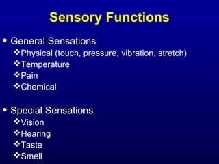 Sensory Functions
• General Sensations
Physical (touch, pressure, vibration, stretch)
Temperature
Pain
Chemical
• Special Sensations
Vision
Hearing
Taste
Smell
 