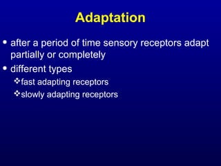 Adaptation
• after a period of time sensory receptors adapt
partially or completely
• different types
fast adapting receptors
slowly adapting receptors
 