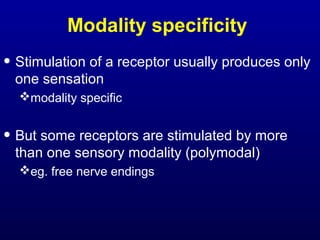 Modality specificity
• Stimulation of a receptor usually produces only
one sensation
modality specific
• But some receptors are stimulated by more
than one sensory modality (polymodal)
eg. free nerve endings
 