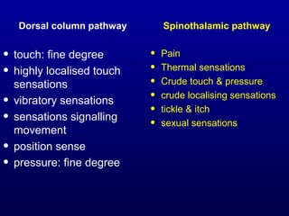 Dorsal column pathway Spinothalamic pathway
• touch: fine degree
• highly localised touch
sensations
• vibratory sensations
• sensations signalling
movement
• position sense
• pressure: fine degree
• Pain
• Thermal sensations
• Crude touch & pressure
• crude localising sensations
• tickle & itch
• sexual sensations
 