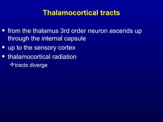 Thalamocortical tracts
• from the thalamus 3rd order neuron ascends up
through the internal capsule
• up to the sensory cortex
• thalamocortical radiation
tracts diverge
 