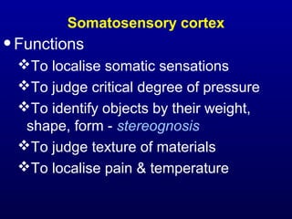 Somatosensory cortex
•Functions
To localise somatic sensations
To judge critical degree of pressure
To identify objects by their weight,
shape, form - stereognosis
To judge texture of materials
To localise pain & temperature
 