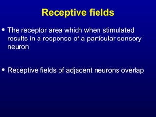Receptive fields
• The receptor area which when stimulated
results in a response of a particular sensory
neuron
• Receptive fields of adjacent neurons overlap
 
