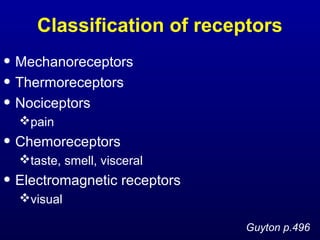 Classification of receptors
• Mechanoreceptors
• Thermoreceptors
• Nociceptors
pain
• Chemoreceptors
taste, smell, visceral
• Electromagnetic receptors
visual
Guyton p.496
 