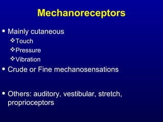 Mechanoreceptors
• Mainly cutaneous
Touch
Pressure
Vibration
• Crude or Fine mechanosensations
• Others: auditory, vestibular, stretch,
proprioceptors
 