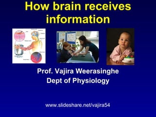 How brain receives information Prof. Vajira Weerasinghe Dept of Physiology www.slideshare.net/vajira54 