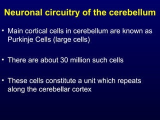 Neuronal circuitry of the cerebellum
• Main cortical cells in cerebellum are known as
Purkinje Cells (large cells)
• There are about 30 million such cells
• These cells constitute a unit which repeats
along the cerebellar cortex
 