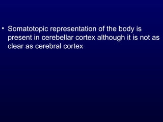 • Somatotopic representation of the body is
present in cerebellar cortex although it is not as
clear as cerebral cortex
 