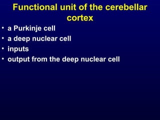Functional unit of the cerebellar
cortex
• a Purkinje cell
• a deep nuclear cell
• inputs
• output from the deep nuclear cell
 