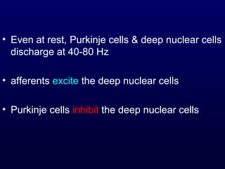 • Even at rest, Purkinje cells & deep nuclear cells
discharge at 40-80 Hz
• afferents excite the deep nuclear cells
• Purkinje cells inhibit the deep nuclear cells
 