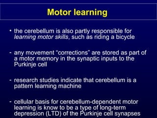 Motor learning
• the cerebellum is also partly responsible for
learning motor skills, such as riding a bicycle
- any movement “corrections” are stored as part of
a motor memory in the synaptic inputs to the
Purkinje cell
- research studies indicate that cerebellum is a
pattern learning machine
- cellular basis for cerebellum-dependent motor
learning is know to be a type of long-term
depression (LTD) of the Purkinje cell synapses
 