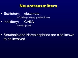 Neurotransmitters
• Excitatory: glutamate
» (Climbing, mossy, parallel fibres)
• Inhibitory: GABA
» (Purkinje cell)
• Serotonin and Norepinephrine are also known
to be involved
 