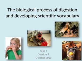 The biological process of digestion
and developing scientific vocabulary
Year 2
Session 5
October 2019
 