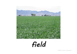 field
KSSR Y2 Unit 3: Flashcard 1
 