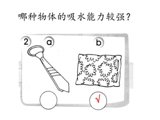 哪种物体的吸水能力较强？
√
 