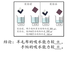 结论：羊毛布的吸水能力较___，
手帕的吸水能力较___。
强
弱
 
