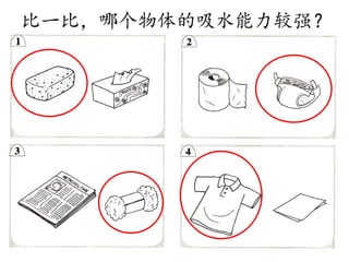 比一比，哪个物体的吸水能力较强？
 
