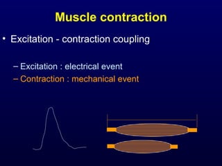 Muscle contraction
• Excitation - contraction coupling

  – Excitation : electrical event
  – Contraction : mechanical event
 