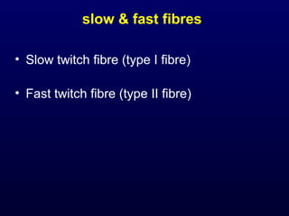 slow & fast fibres

• Slow twitch fibre (type I fibre)

• Fast twitch fibre (type II fibre)
 
