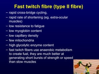 Fast twitch fibre (type II fibre)
– rapid cross-bridge cycling,
– rapid rate of shortening (eg. extra-ocular
  muscles)
– low resistance to fatigue
– low myoglobin content
– low capillary density
– few mitochondria
– high glycolytic enzyme content
– fast twitch fibers use anaerobic metabolism
  to create fuel, they are much better at
  generating short bursts of strength or speed
  than slow muscles
 