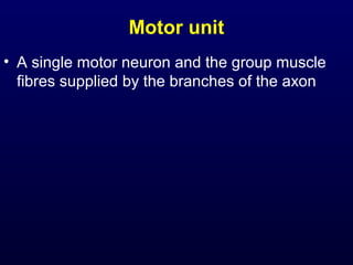 Motor unit
• A single motor neuron and the group muscle
  fibres supplied by the branches of the axon
 