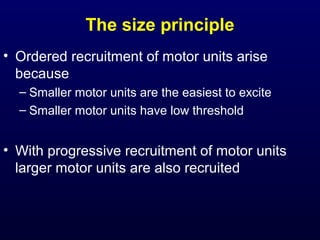 The size principle
• Ordered recruitment of motor units arise
  because
  – Smaller motor units are the easiest to excite
  – Smaller motor units have low threshold


• With progressive recruitment of motor units
  larger motor units are also recruited
 