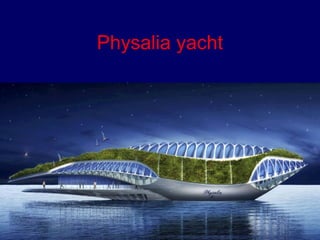 Physalia yacht 
 