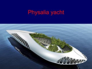 Physalia yacht 
 