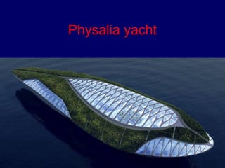 Physalia yacht 
 