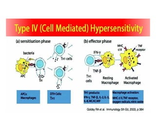 Share_Hypersensitivity reactions-WPS_Office.pptx