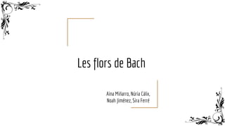 Les flors de Bach
Aina Miñarro, Núria Càlix,
Noah Jiménez, Sira Ferré
 