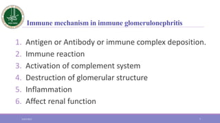 Immune mechanism in immune glomerulonephritis
1. Antigen or Antibody or immune complex deposition.
2. Immune reaction
3. A...