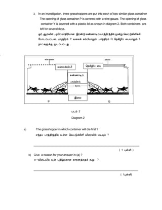 3. In an investigation, three grasshoppers are put into each of two similar glass container
The opening of glass container P is covered with a wire gauze. The opening of glass
container Y is covered with a plastic lid as shown in diagram 2. Both containers are
left for several days.
µ÷ ¬öÅ¢ø , ´§Ã Á¡¾¢Ã¢Â¡É þÃñÎ ¸ñ½¡Êô À¡ò¾¢Ãò¾¢ø ãýÚ ¦ÅðÎ¸¢Ç¢¸û
§À¡¼ôÀð¼É. À¡ò¾¢Ãõ P Å¨Äì ¸õÀ¢Â¡Öõ .À¡ò¾¢Ãõ Q ¦¿¸¢Æ¢ô ¨ÀÂ¡Öõ 5
¿¡ð¸ÙìÌ ã¼ôÀð¼Ð .
.

¦¿¸¢Æ¢ô ¨À

Å¨Äì¸õÀ¢

Å¨Äì¸õÀ¢

¸ñ½¡Êô
À¡ò¾¢Ãõ

þ¨Ä
P

Q
À¼õ 2
Diagram 2

a)

The grasshopper in which container will die first ?
±ó¾ô À¡ò¾¢Ãò¾¢ø ¯ûÇ ¦ÅðÎì¸¢Ç¢ Å¢¨ÃÅ¢ø ÁÊÔõ ?
___________________________________________________________________________
( 1 ÒûÇ¢ )
b) Give a reason for your answer in (a) ?
a –Å¢¨¼Â¢ø ¯ý À¾¢Öì¸¡É ¸¡Ã½ò¨¾ì ÜÚ ?
__________________________________________________________________________
( 1ÒûÇ¢)

 