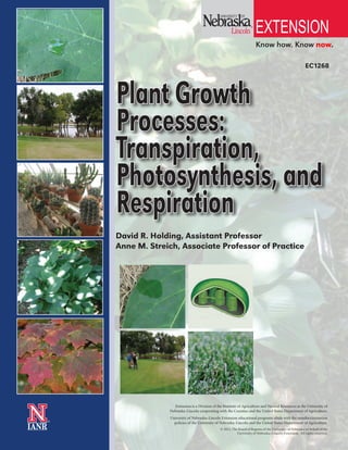 EC1268
Plant Growth
Processes:
Transpiration,
Photosynthesis, and
Respiration
Extension is a Division of the Institute of Agriculture and Natural Resources at the University of
Nebraska–Lincoln cooperating with the Counties and the United States Department of Agriculture.
University of Nebraska–Lincoln Extension educational programs abide with the nondiscrimination
policies of the University of Nebraska–Lincoln and the United States Department of Agriculture.
© 2013, The Board of Regents of the University of Nebraska on behalf of the
University of Nebraska–Lincoln Extension. All rights reserved.
Know how. Know now.
EXTENSION®
David R. Holding, Assistant Professor
Anne M. Streich, Associate Professor of Practice
 