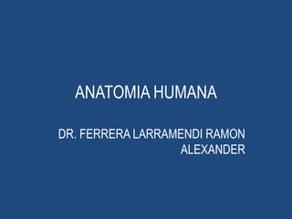 ANATOMIA HUMANA
DR. FERRERA LARRAMENDI RAMON
ALEXANDER
 