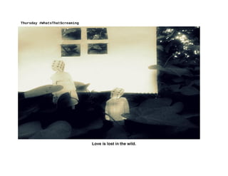 Thursday #‎WhatsThatScreaming‪
Love is lost in the wild.
 