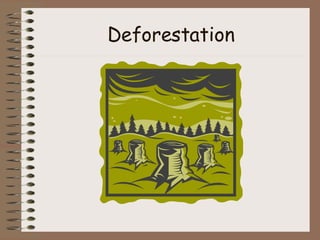 Deforestation 