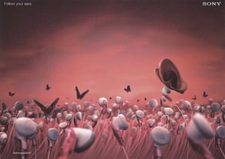 Sony Bravia 2010
Kontrapunkt©
 