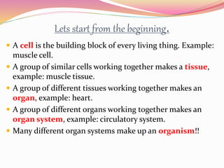 Y6 Ch02 Cell to system All 2022.pptx