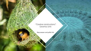 Baya weaver and puffer fish
-”Creative constructions”
Ceramics Unit
 