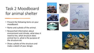 Task 2 Moodboard
for animal shelter
• Present the following items on your
moodboard:
• Name and a photo of the animal.
• Researched information about
environment and climate, what does it
need to live, what structure does
animal live in, what is the purpose of
the structure etc
• Show a photo of the structure and
make a sketch of your design.
 