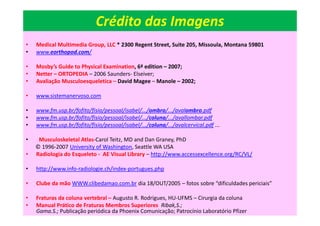 Crédito das Imagens
• Medical Multimedia Group, LLC * 2300 Regent Street, Suite 205, Missoula, Montana 59801
• www.eorthopod.com/
• Mosby’s Guide to Physical Examination, 6ª edition – 2007;
• Netter – ORTOPEDIA – 2006 Saunders- Elseiver;
• Avaliação Musculoesqueletica – David Magee – Manole – 2002;
• www.sistemanervoso.com
• www.fm.usp.br/fofito/fisio/pessoal/isabel/.../ombro/.../avalombro.pdf
• www.fm.usp.br/fofito/fisio/pessoal/isabel/.../coluna/.../avallombar.pdf
• www.fm.usp.br/fofito/fisio/pessoal/isabel/.../coluna/.../avalcervical.pdf ...
• Musculoskeletal Atlas-Carol Teitz, MD and Dan Graney, PhD
© 1996-2007 University of Washington, Seattle WA USA
• Radiologia do Esqueleto - AE Visual Library – http://www.accessexcellence.org/RC/VL/
• http://www.info-radiologie.ch/index-portugues.php
• Clube da mão WWW.clibedamao.com.br dia 18/OUT/2005 – fotos sobre “dificuldades periciais”
• Fraturas da coluna vertebral – Augusto R. Rodrigues, HU-UFMS – Cirurgia da coluna
• Manual Prático de Fraturas Membros Superiores Ribak,S.;
Gama.S.; Publicação periódica da Phoenix Comunicação; Patrocínio Laboratório Pfizer
 