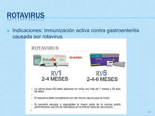 ROTAVIRUS
 Indicaciones: Inmunización activa contra gastroenteritis
causada por rotavirus.
23
 