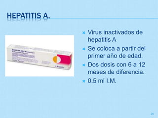 HEPATITIS A.
 Virus inactivados de
hepatitis A
 Se coloca a partir del
primer año de edad.
 Dos dosis con 6 a 12
meses ...