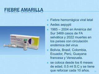 FIEBRE AMARILLA
 Fiebre hemorrágica viral letal
 Aedes aepypti
 1985 – 2004 en América del
Sur 3469 casos de FA
selváti...