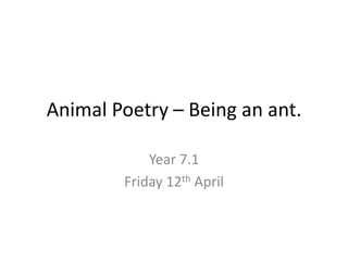 Animal Poetry – Being an ant.

            Year 7.1
        Friday 12th April
 